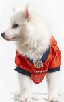 NFL DENVER BRONCOS DOG Jersey, Small