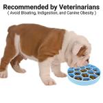 Mr. Peanut's Interactive Slow Feed Dog Bowl, Fun Healthy Bloat Stop Feeder (Medium)