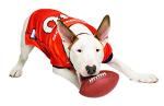 NFL DENVER BRONCOS DOG Jersey, Small