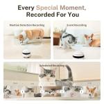 Enabot EBO 2K Camera Robot ROLA Mini: Movable Pet Camera Battery-Powered with Phone App, Indoor Cam w/One-Touch Call, 2-Way Talk, Night Vision, Motion Detection, Video Recording