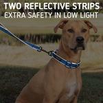 Leash Boss 6ft Reflective Dog Leash - Ultra Comfort Double-Thick Soft Padded Handle for Large, Medium & Small Dogs