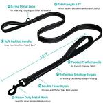 Dog Leash 6 Foot Long Traffic Padded Two Handle Heavy Duty Lead for Large or Medium Dogs Training Reflective Leashes (6 Foot, Pack of 1, Black)