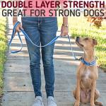 Leash Boss 6ft Reflective Dog Leash - Ultra Comfort Double-Thick Soft Padded Handle for Large, Medium & Small Dogs