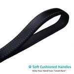 Dog Leash 6 Foot Long Traffic Padded Two Handle Heavy Duty Lead for Large or Medium Dogs Training Reflective Leashes (6 Foot, Pack of 1, Black)