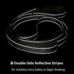 Dog Leash 6 Foot Long Traffic Padded Two Handle Heavy Duty Lead for Large or Medium Dogs Training Reflective Leashes (6 Foot, Pack of 1, Black)