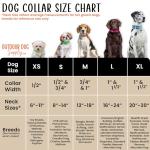 Outdoor Dog Supply 1" Heavy Duty Reflective Waterproof D-Ring Dog Collar for Medium & Large Dogs with 3/4" Custom Brass Nameplate (Reflective Orange, 21")