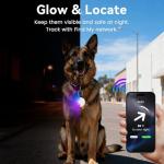 Dog Light with GPS Tracker, Anti-Lost Waterproof Dog Collar Light for Night Walking, Camping, 6 Modes IP68 Rechargeable LED Pet Tracking Lights, Work with Apple Find My, No Monthly Fee(iOS only)