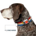 Dog Collar Seatbelt Buckle Wonder Woman Logo Stripe Stars Red Gold Blue White 11 to 17 Inches 1.0 Inch Wide