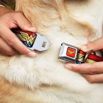 Dog Collar Seatbelt Buckle Wonder Woman Logo Stripe Stars Red Gold Blue White 11 to 17 Inches 1.0 Inch Wide