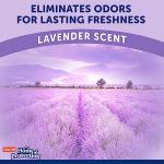 Hartz Home Protection Lavender Scented Dog Pads, 3XL 30 Count, Super Absorbent & Won't Leak, Odor Eliminating
