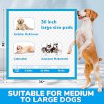 JOINPADS 3XL Extra Large-Jumbo Disposable Training Pads for Dogs, Puppies, Cats, Rabbits - 36"X36", 30-Count Thicken Super Absorbent Potty Pads