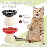 Teenyyou 2 Pcs Elevated Ceramic Cat Bowls Whisker Friendly Raised Cat Food and Water Dishes Wide Feeding Bowls for Flat Faced Kittens Raised Pet Dishes for Easy Feeding(Red Black)