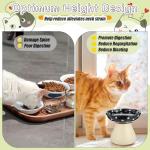 Teenyyou 2 Pcs Elevated Ceramic Cat Bowls Whisker Friendly Raised Cat Food and Water Dishes Wide Feeding Bowls for Flat Faced Kittens Raised Pet Dishes for Easy Feeding(Red Black)