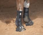 Classic Equine Legacy2 Support Boots, Front (Black, Medium)
