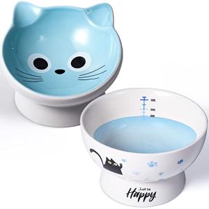 AISBUGUR Ceramic Cat Bowls Set of 2, Elevated 15 Tilted Design for Indoor Cats, Large Capacity, Easy to Clean, Non-Slip Base, Cute Pattern, Blue