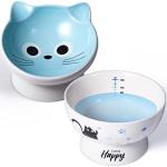 AISBUGUR Ceramic Cat Bowls Set of 2, Elevated 15 Tilted Design for Indoor Cats, Large Capacity, Easy to Clean, Non-Slip Base, Cute Pattern, Blue