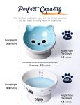 AISBUGUR Ceramic Cat Bowls Set of 2, Elevated 15 Tilted Design for Indoor Cats, Large Capacity, Easy to Clean, Non-Slip Base, Cute Pattern, Blue