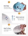 AISBUGUR Ceramic Cat Bowls Set of 2, Elevated 15 Tilted Design for Indoor Cats, Large Capacity, Easy to Clean, Non-Slip Base, Cute Pattern, Blue
