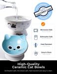 AISBUGUR Ceramic Cat Bowls Set of 2, Elevated 15 Tilted Design for Indoor Cats, Large Capacity, Easy to Clean, Non-Slip Base, Cute Pattern, Blue