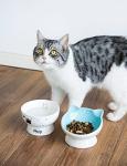 AISBUGUR Ceramic Cat Bowls Set of 2, Elevated 15 Tilted Design for Indoor Cats, Large Capacity, Easy to Clean, Non-Slip Base, Cute Pattern, Blue