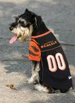 NFL CINCINNATI BENGALS DOG Jersey, Medium