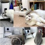 BEBOBLY Adjustable Cat Feeder Stand, Elevated Holder for Automatic Feeders, 3-5.1 in, Nonslip, Adjustable