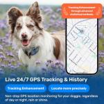 DBDD AI GPS Tracker for Dogs (30lbs+), Real Time Location and AI Vet Health Management, Electronic Fence, Waterproof, iOS and Android Universal（Black）
