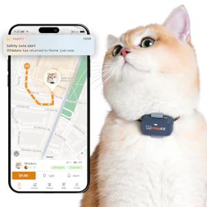 Pawfit Lite for Cats 4g GPS Tracker | Real Time Tracking | Activity Monitoring |Location History | Unlimited Range | Safety Collar Included | Charcoal Grey