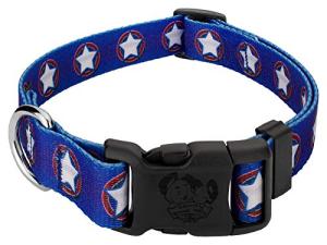Country Brook Petz 5/8 Inch Deluxe Adjustable Dog Collar Limited Edition for Small, Medium, Large Breeds - Americana Collection with Patriotic Designs (American Stars, Small)