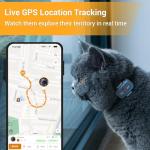 Pawfit Lite for Cats 4g GPS Tracker | Real Time Tracking | Activity Monitoring |Location History | Unlimited Range | Safety Collar Included | Charcoal Grey