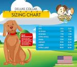 Country Brook Petz 5/8 Inch Deluxe Adjustable Dog Collar Limited Edition for Small, Medium, Large Breeds - Americana Collection with Patriotic Designs (American Stars, Small)