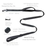 CHMETE Dog Leash 5ft Long - Traffic Padded Two Handle - Heavy Duty - Double Handles Lead for Control Safety Training - Leashes for Large Dogs or Medium Dogs Black