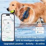 DBDD AI GPS Tracker for Dogs (30lbs+), Real Time Location and AI Vet Health Management, Electronic Fence, Waterproof, iOS and Android Universal（Black）