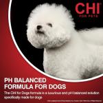 CHI for Dogs Deodorizing No-Rinse Foam - Dry Shampoo and Odor Eliminator for Dogs - Sulfate and Paraben Free - Made in USA - Waterless Pet Grooming Foam, Pump Bottle, 8 Fl Oz