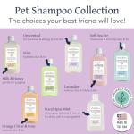 Bobbi Panter Soothing Dog Shampoo, Heals & Soothes Irritated Skin, Lavender Scent - 30:1 Concentrated Formula, Made in The USA, Trusted by Professional Groomers, 14 oz.