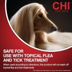 CHI for Dogs Deodorizing No-Rinse Foam - Dry Shampoo and Odor Eliminator for Dogs - Sulfate and Paraben Free - Made in USA - Waterless Pet Grooming Foam, Pump Bottle, 8 Fl Oz