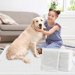 IMMCUTE Dog Pee Pads Extra Large 23"X36", 30Count, XL Puppy Pads Super Absorbent & Leak-Proof, Disposable Potty Training Pads, 6-Layer with Quick-Dry for Puppies | Doggie| Cats | Rabbits
