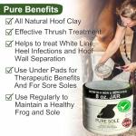 Pure Sole Hoof Clay Thrush Treatment for Horses Hoof Mud for White Line, Cracks, Thrush, and Hoof Packing | All Natural Horse Hoof Care to Promote Healthy Hooves | Farrier Recommended, 8 oz