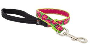 Lupine Traffic Leash 2-Foot by 3/4" Wide Petunias