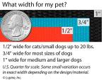 Lupine Traffic Leash 2-Foot by 3/4" Wide Petunias
