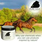 Pure Sole Hoof Clay Thrush Treatment for Horses Hoof Mud for White Line, Cracks, Thrush, and Hoof Packing | All Natural Horse Hoof Care to Promote Healthy Hooves | Farrier Recommended, 8 oz