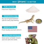Gargeer 4oz All Reptile Calcium Powder with Vitamin D3, Phosphorus-Free, Ultrafine Powder, Pure Dust & Ready to Use for All Reptiles, Lizards & Amphibians Supplement. Made in The USA. Enjoy !