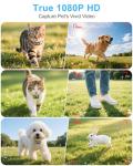 Cat Camera Collar with Phone APP, 1080P HD Video Recording, XS/M-Size Pet POV Cam for Dogs & Big Cats, Cordless Pet Collar Cameras with APP Viewing (XS-Collar)