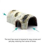 Reptile Hides and Caves Birch Tree Bark Trunk Habitats Decor Aquarium Decoration Wood for Lizard Geckos Snake Spiders Frogs Turtle (Small)