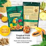 LAFEBER'S Gourmet Nutri-Berries Pet Bird Food Variety Sampler Bundles, Made with Non-GMO and Human-Grade Ingredients, for Parrots, 10 oz. Each (4 Pk Bundle)