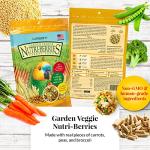 LAFEBER'S Gourmet Nutri-Berries Pet Bird Food Variety Sampler Bundles, Made with Non-GMO and Human-Grade Ingredients, for Parrots, 10 oz. Each (4 Pk Bundle)