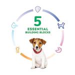Hill's Science Diet Puppy, Puppy Premium Nutrition, Small Kibble, Dry Dog Food, Chicken & Brown Rice, 4.5 lb Bag