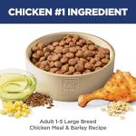 Hill's Science Diet Large Breed Adult Dry Dog Food 1-5, Quality Protein for Joint Support & Lean Muscles, Chicken & Barley, 35 lb. Bag