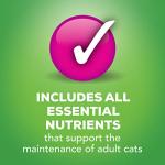 Purina Friskies Wet Cat Food Pate Variety Pack Salmon Dinner, Turkey and Giblets Dinner and Mixed Grill - (2 Packs of 12) 5.5 oz. Cans