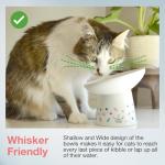 Necoichi Raised Cat Food Bowl – Ceramic Elevated 15° Tilted Cat Bowl for Whisker & Neck Fatigue Dishwasher Microwave Safe – Non-Slip Anti Vomiting Ergonomic Design (Colorful Dots, Extra Wide Tilted)